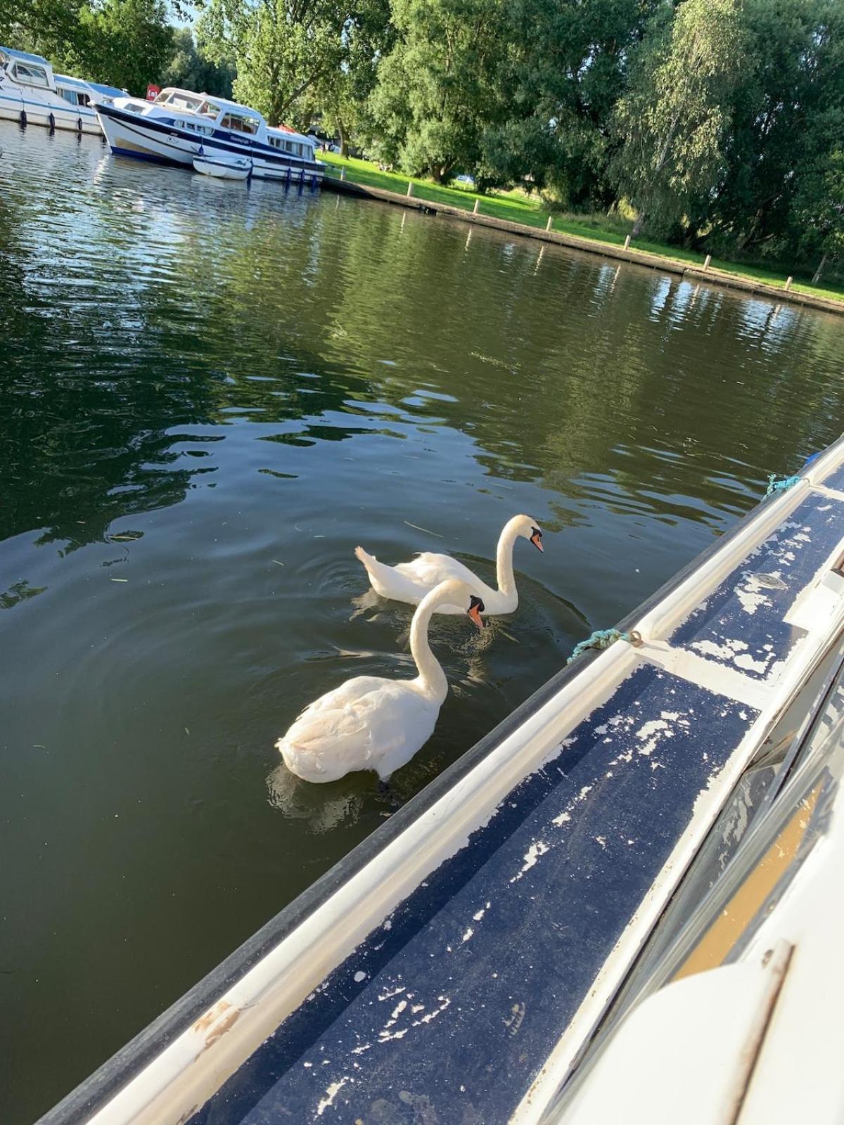 Casa vacanze Lovely Serenity Caravan Is Situated On The Norfolk Broads *